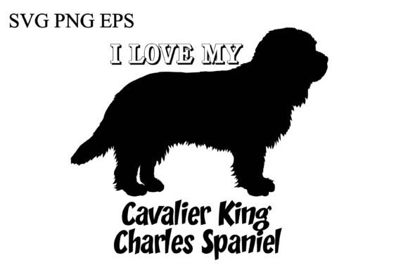 Cavalier King Charles Spaniel